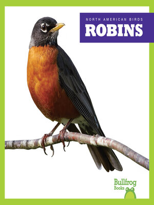 cover image of Robins